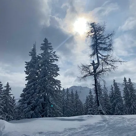 Lägenhet Maria - By Mynests Haus im Ennstal